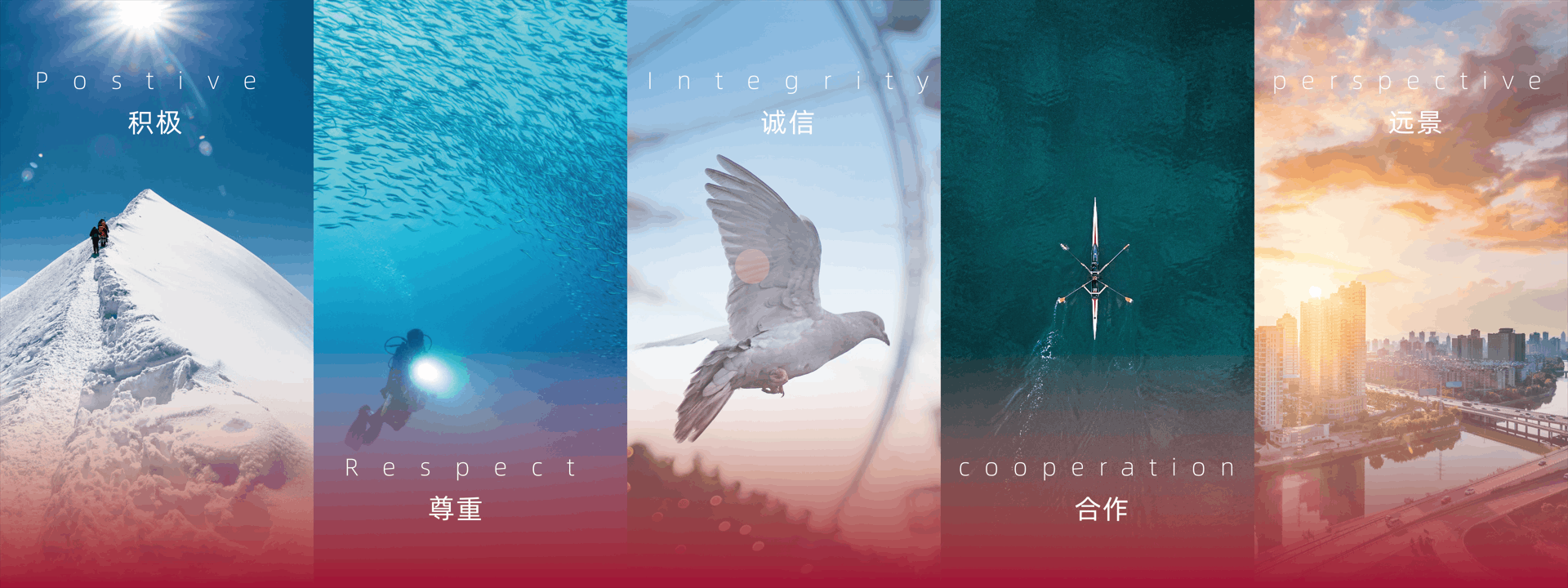 積極，尊重，誠信，合作，遠景