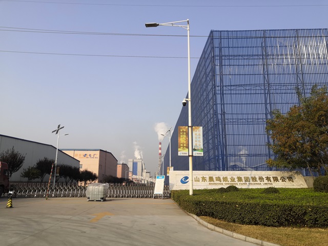 U . 山東晨鳴紙業(yè)-1